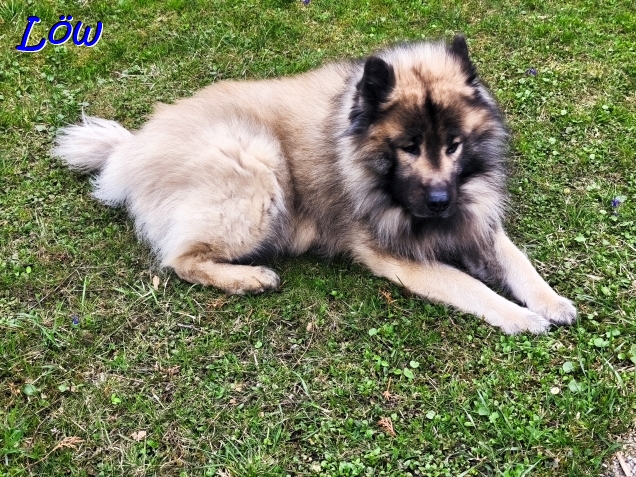 30.3.2025 - Dwix rastet